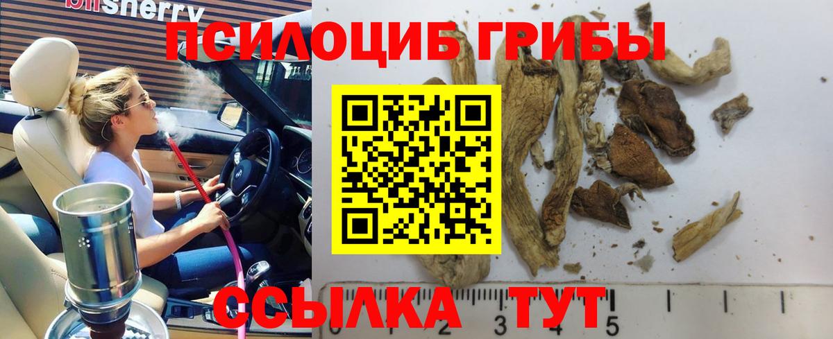 Псилоцибиновые грибы GOLDEN TEACHER Белорецк